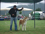 V Akita Cup 2008