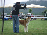 V Akita Cup 2008