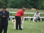 V Akita Cup 2008