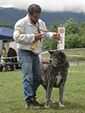 V Akita Cup 2008