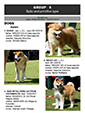 Akita Trophy - 2nd European Hozonkai Championship 25.-26.6.2011