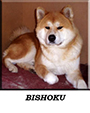 bishoku