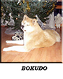 bokudo