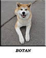 botan