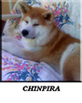 chinpira