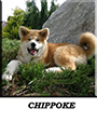 chippoke