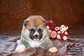 boy_5_3_weeks