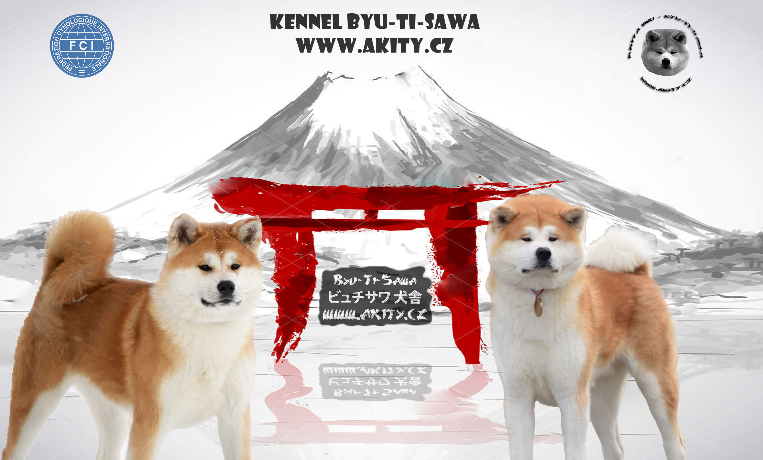 Akita inu Byu-Ti-Sawa